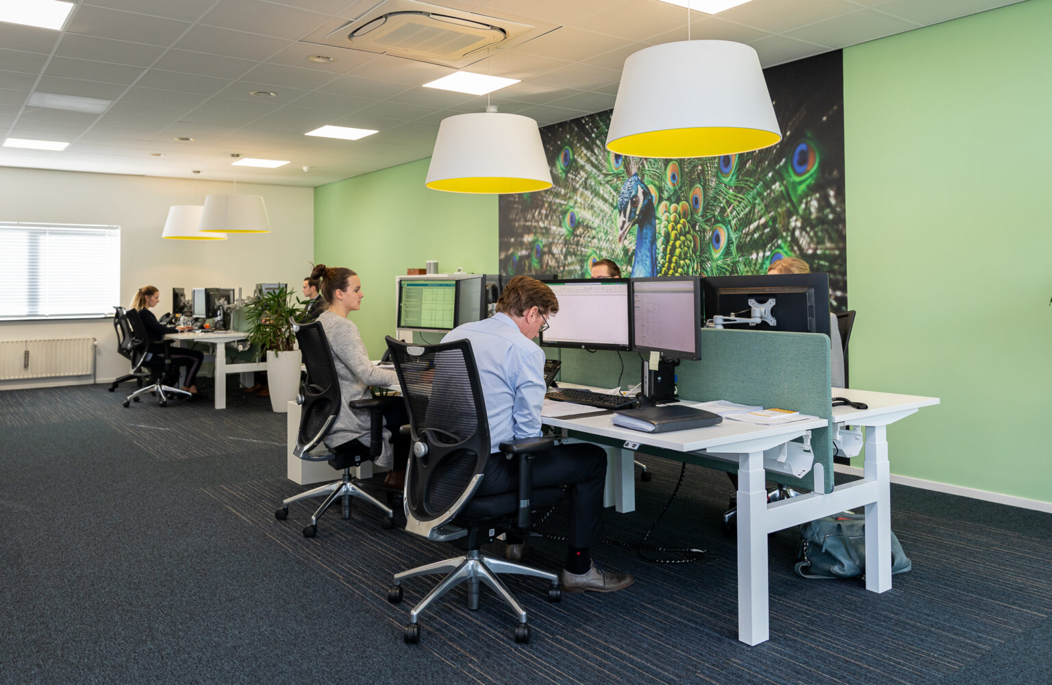 Fotolux_WEA_website-3