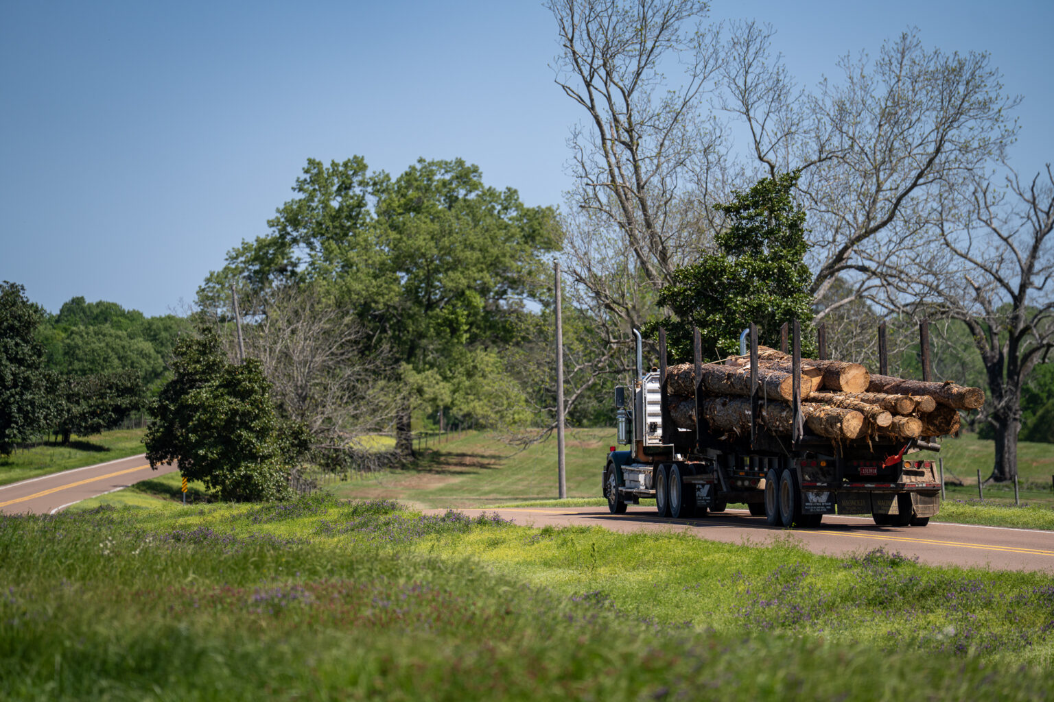 Fotolux_RWE_april_2025_LR_v2-05